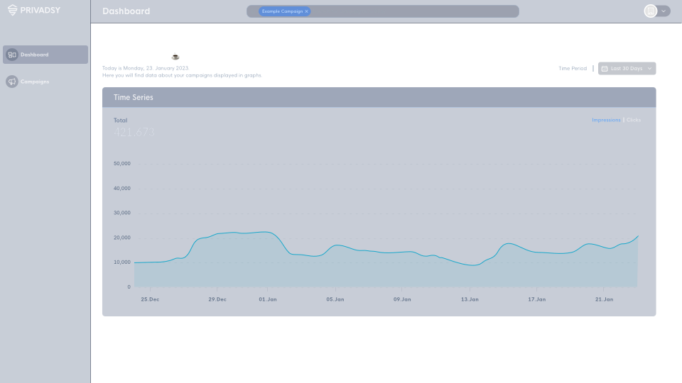 privadsy dashboard showing campaign performance in a chart